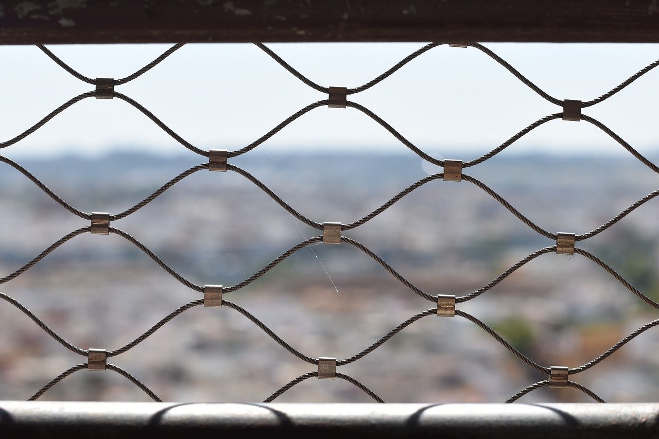 学生卡实名账号：详情下载教程松塔生态app