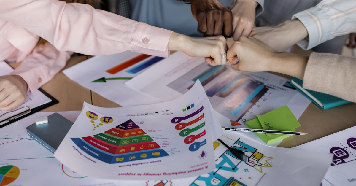 香烟的二元性质：消费者如何看待对身体的消极影响